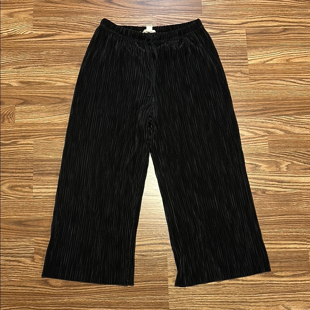 Urban Outfitters Silence & Noise Pleated Black Slouchy Gaucho Pants Small